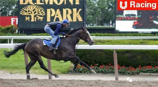 CHC冠军赛马“优仕达”将参战贝尔蒙特德比
：有望再创佳绩