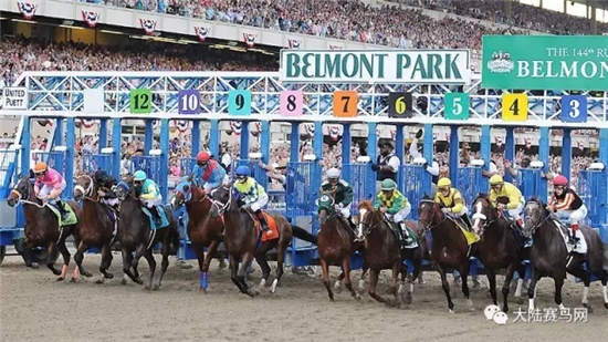 CHC冠军赛马“优仕达”将参战贝尔蒙特德比:有望再创佳绩.webp (5).jpg