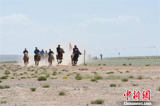 甘肃肃北盛夏上演激情赛马