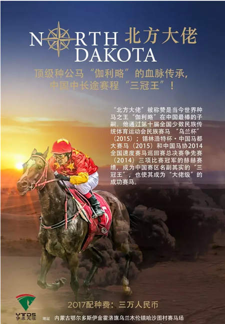 全球在线视频直播伊泰大漠马业“鄂尔多斯金杯”赛马日 (5).jpg