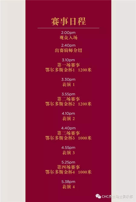 全球在线视频直播伊泰大漠马业“鄂尔多斯金杯”赛马日 (6).jpg