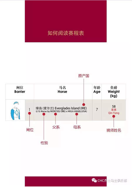 全球在线视频直播伊泰大漠马业“鄂尔多斯金杯”赛马日 (7).jpg