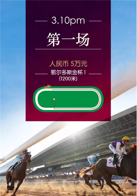 全球在线视频直播伊泰大漠马业“鄂尔多斯金杯”赛马日 (8).jpg
