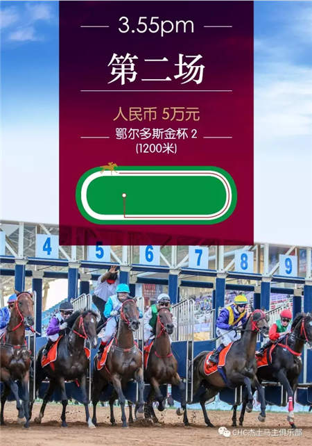 全球在线视频直播伊泰大漠马业“鄂尔多斯金杯”赛马日 (10).jpg