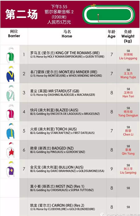 全球在线视频直播伊泰大漠马业“鄂尔多斯金杯”赛马日 (11).jpg