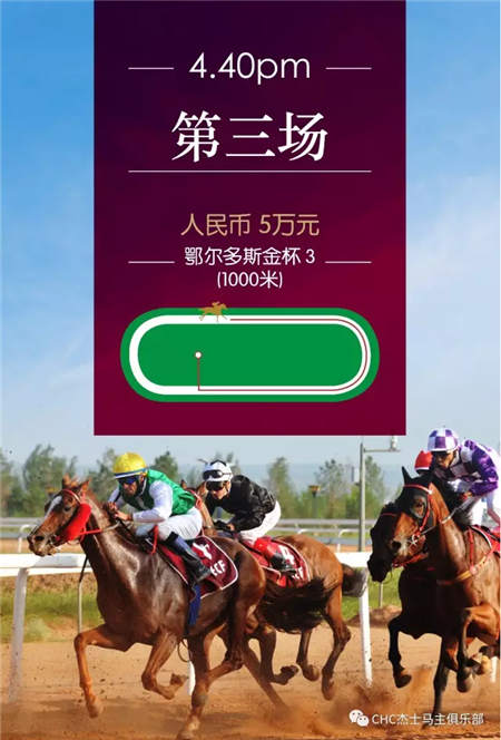 全球在线视频直播伊泰大漠马业“鄂尔多斯金杯”赛马日 (12).jpg