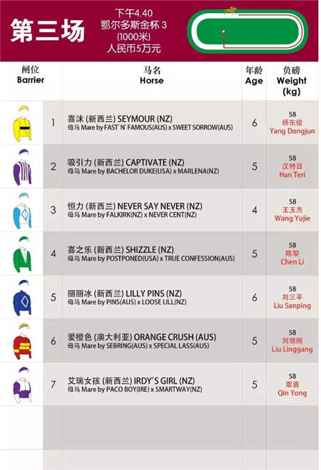 全球在线视频直播伊泰大漠马业“鄂尔多斯金杯”赛马日 (13).jpg