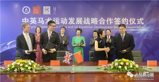 受益世界军运会:武汉商学院将拥有湖北首个国际标准马术基地.webp (1).jpg