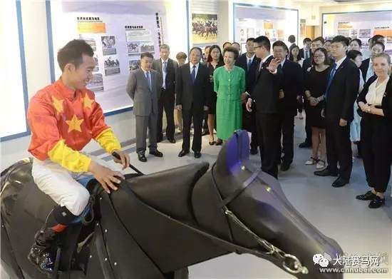 受益世界军运会:武汉商学院将拥有湖北首个国际标准马术基地.webp (3).jpg