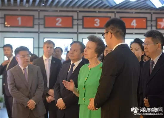 受益世界军运会:武汉商学院将拥有湖北首个国际标准马术基地.webp (4).jpg