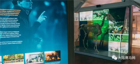 爱尔兰耗资1.3亿打造马匹博物馆:“伽利略”父亲骨架现世.webp (3).jpg