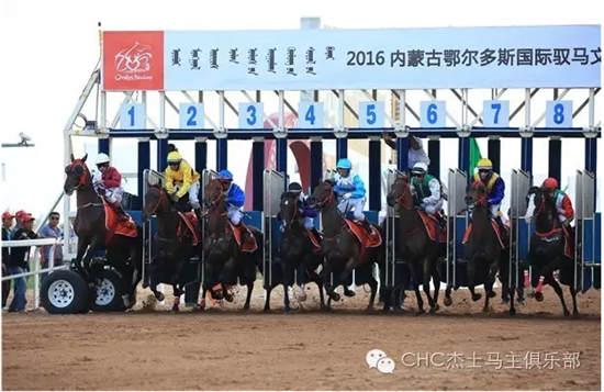 草原明珠经济转型大手笔:“鄂尔多斯金杯”纯血速度赛马6.24开幕1.jpg