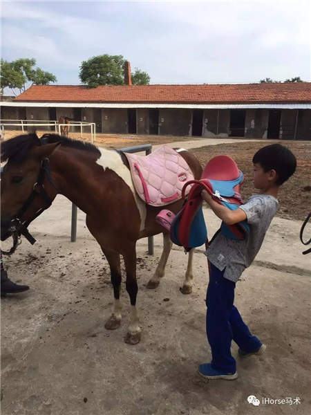 武汉iHorse马术俱乐部暑期第一期E级培训班顺利结业1.jpg