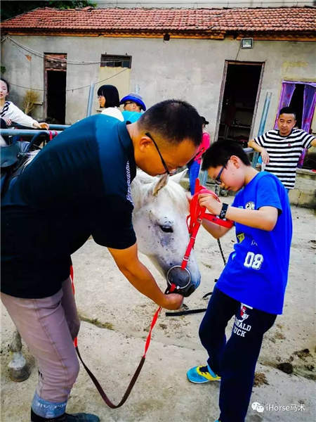 武汉iHorse马术俱乐部暑期第一期E级培训班顺利结业2.jpg