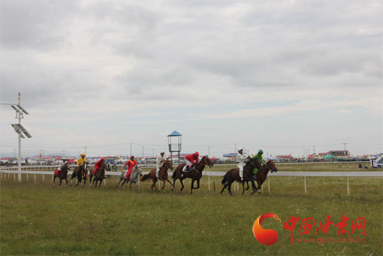 甘南玛曲第十届格萨尔赛马节开幕 120万奖金吸引六省区汉子竞技1.jpg