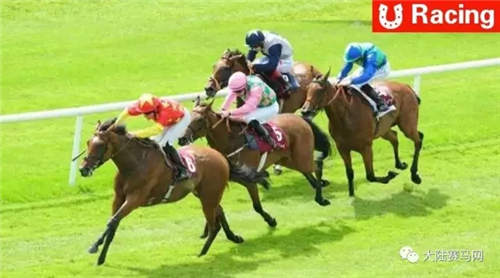 超级大逆转！CHC赛驹“勃朗宁夫人”G2二级赛一鸣惊人