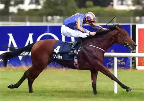 超级大逆转!CHC赛驹“勃朗宁夫人”G2二级赛一鸣惊人.webp (1).jpg