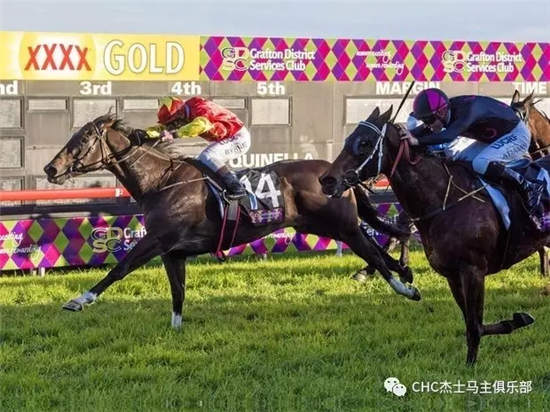 CHC旗下赛驹“凯兰达”澳大利亚斩获生涯第五冠