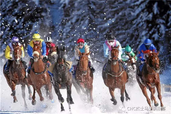 瑞士雪地赛马节:CHC赛驹再次出赛,马主感受别样驭马风情 (1).jpg