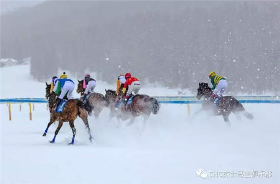 瑞士雪地赛马节:CHC赛驹再次出赛,马主感受别样驭马风情 (3).jpg