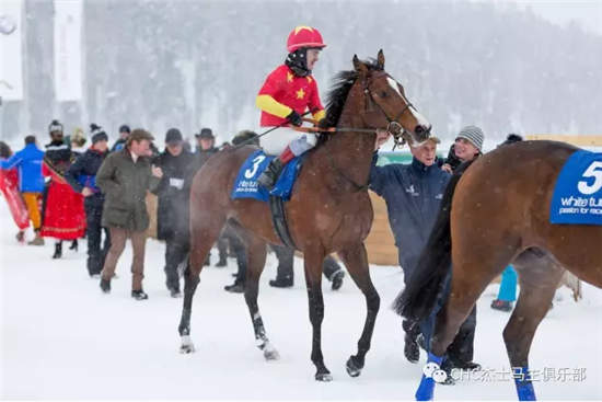 瑞士雪地赛马节:CHC赛驹再次出赛,马主感受别样驭马风情 (4).jpg