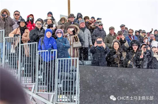 瑞士雪地赛马节:CHC赛驹再次出赛,马主感受别样驭马风情 (5).jpg