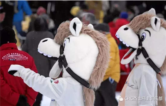 瑞士雪地赛马节:CHC赛驹再次出赛,马主感受别样驭马风情 (7).jpg