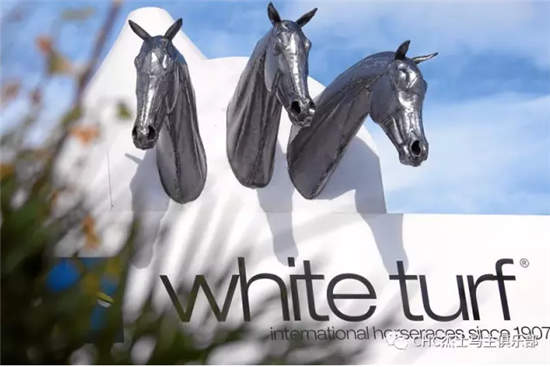 瑞士雪地赛马节:CHC赛驹再次出赛,马主感受别样驭马风情 (11).jpg