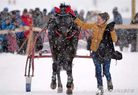 瑞士雪地赛马节:CHC赛驹再次出赛,马主感受别样驭马风情 (12).jpg