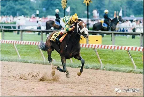 马场绅士Hansel被执行安乐死:美国三冠王赛事豪取两冠.webp (2).jpg