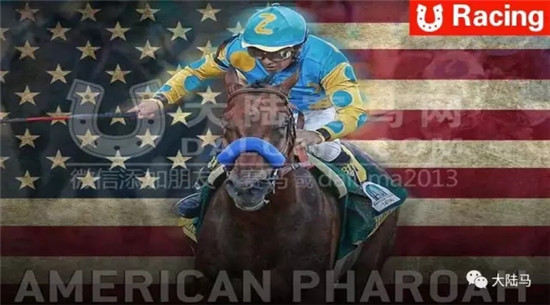 “美国法老”抵达澳洲开启南半球配种生涯
：35万配种费大酬宾