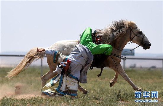蒙古马逐渐回归中国蒙古族牧民生活 (4).jpg