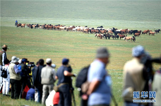 蒙古马逐渐回归中国蒙古族牧民生活 (10).jpg