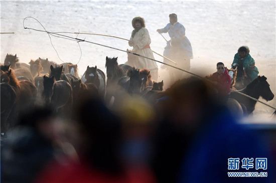 蒙古马逐渐回归中国蒙古族牧民生活 (7).jpg