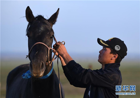 蒙古马逐渐回归中国蒙古族牧民生活 (5).jpg