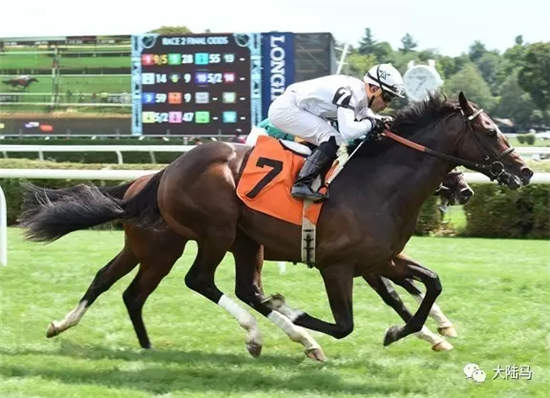 CHC“乐善好施”将首战泥地赛:PK肯塔基打吡和必利时锦标冠军