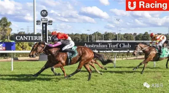 CHC“古城堡”澳洲勇夺头马：父系“情深义重”【视频】