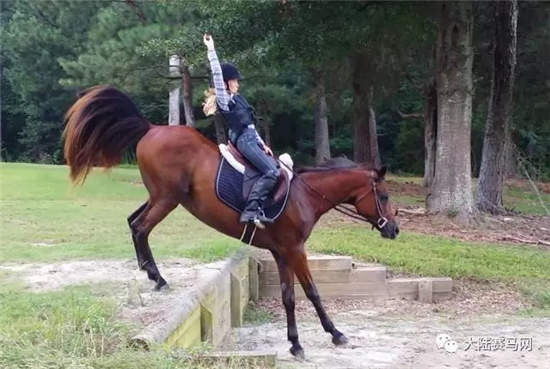 这位年仅10岁的小姑娘,可能会是美国未来的明星天才骑手.webp (4).jpg