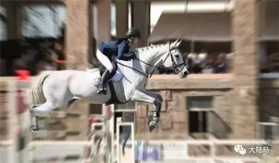 新疆迎来全民马术体验日:最精彩的是马和少年.webp (3).jpg