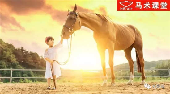 小心！遛马可不像遛狗那么轻松
