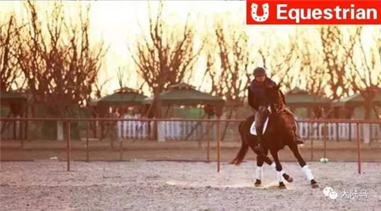 天津第一支马术队正式成立�：天津高银环亚马术队