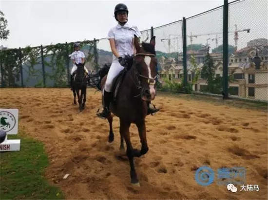 2017凤凰杯全国青少年马术场地障碍赛在青岛落幕