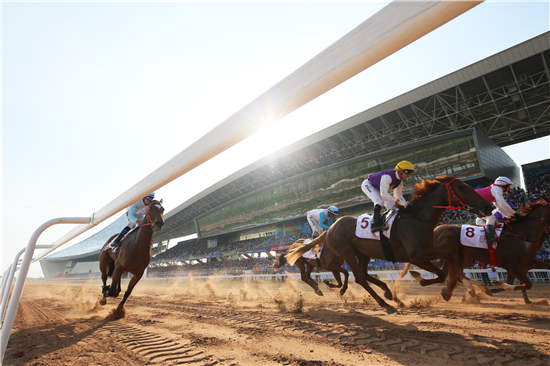 驭者·无界2017CECF国际驭马文化节·内蒙古鄂尔多斯重磅归来! (4).JPG