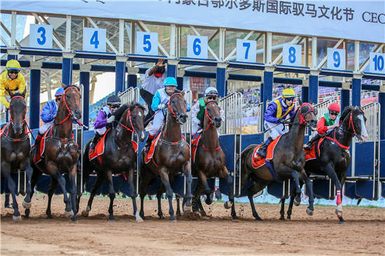 驭者·无界2017CECF国际驭马文化节·内蒙古鄂尔多斯重磅归来! (5).JPG
