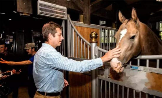 胡润
	：中国马产业发展需要创新模式