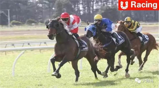 9月2日昆明战火重燃：中信莱德嘉丽泽第24赛马日来袭！