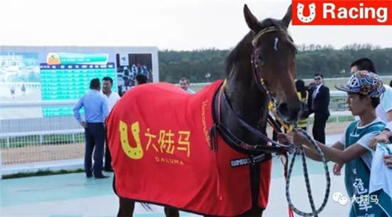 “玉龙宝魁”勇夺“大陆马杯”冠军	：青马商城本场返还5倍积分