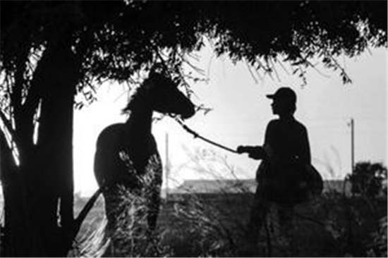 《赛马皮特》

：一部虐心的成长史