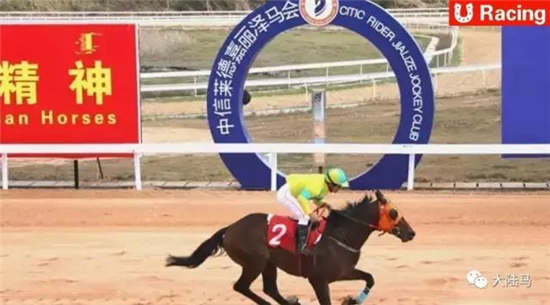 你猜中几场？中信莱德嘉丽泽马会第24赛马日赛果出炉