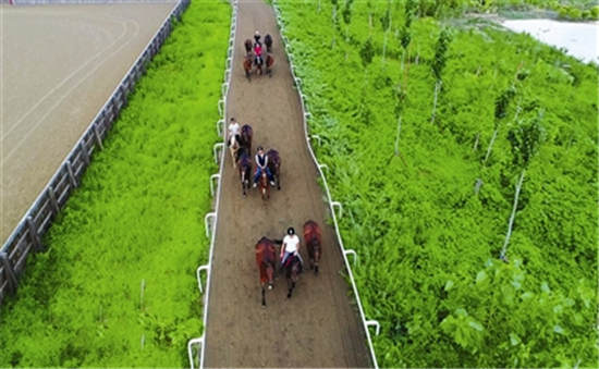 天津高新区打造马术“发烧友”聚集地